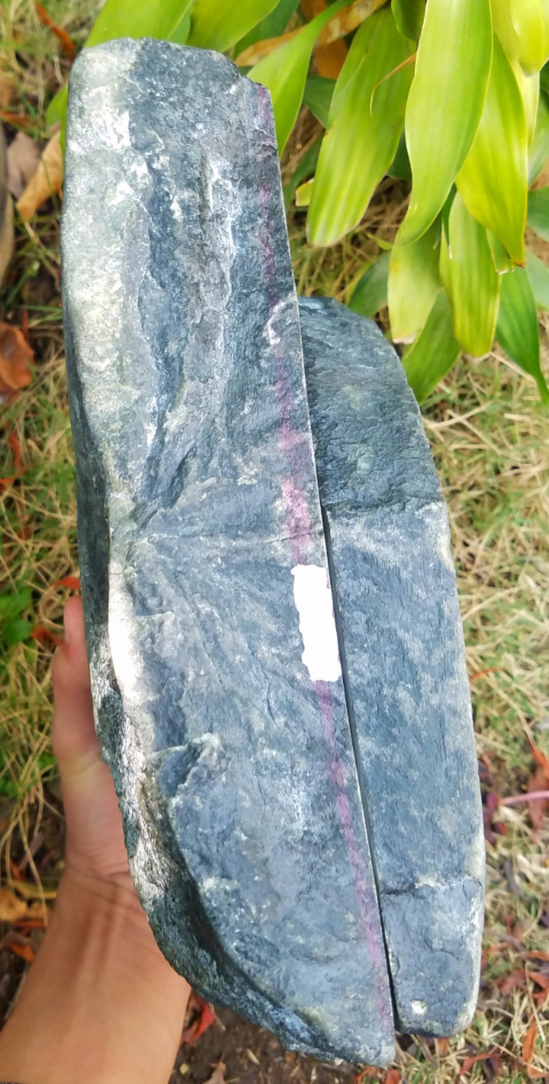 老坑莫弯基精?品手镯料8.1公斤皮壳好皮壳非常紧凑种老肉细水