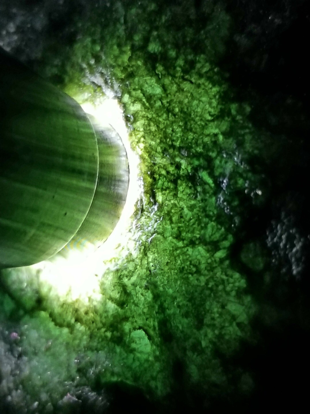 秒杀价3688得新货8.3公斤莫西沙全赌精品一枚这种没得说啦