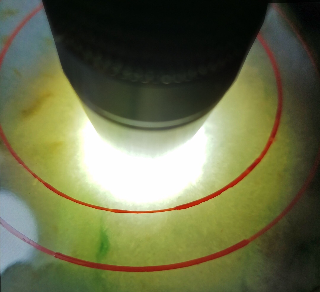 上新秒杀价9800得莫西沙精品改口手镯料11.5公斤种老飘花