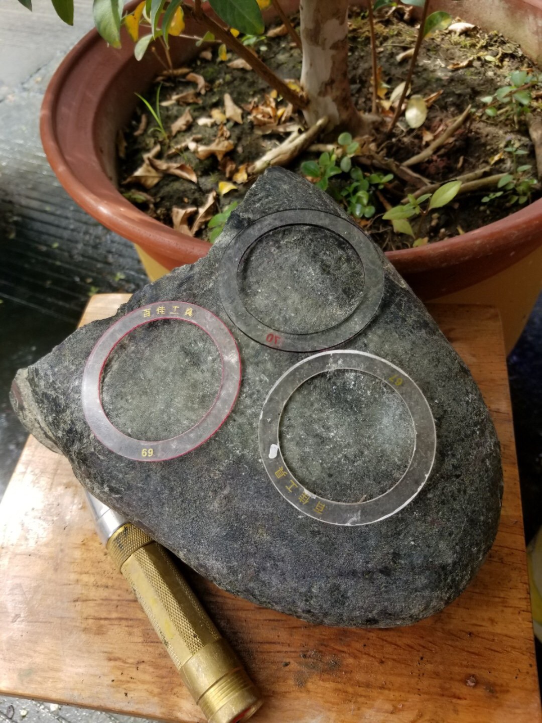 今日特价秒杀2688得新货4.3公斤莫西沙在来一个不错的小料