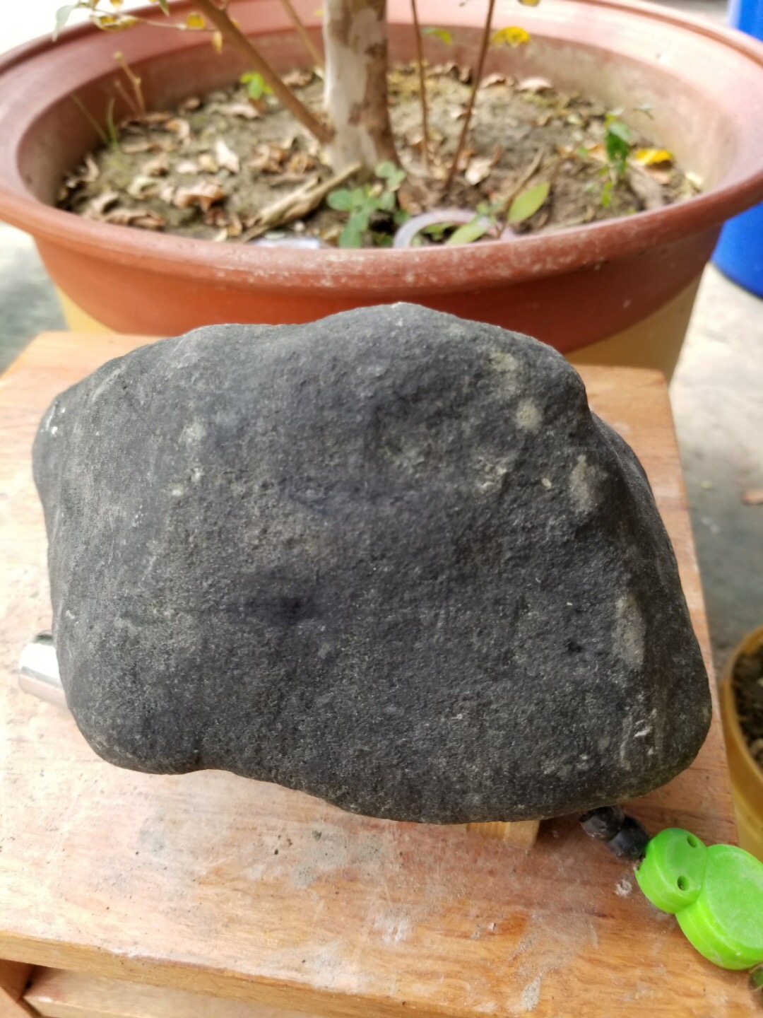 今日特价秒杀2588得新货3.7公斤莫西沙全赌精品完美无裂呀