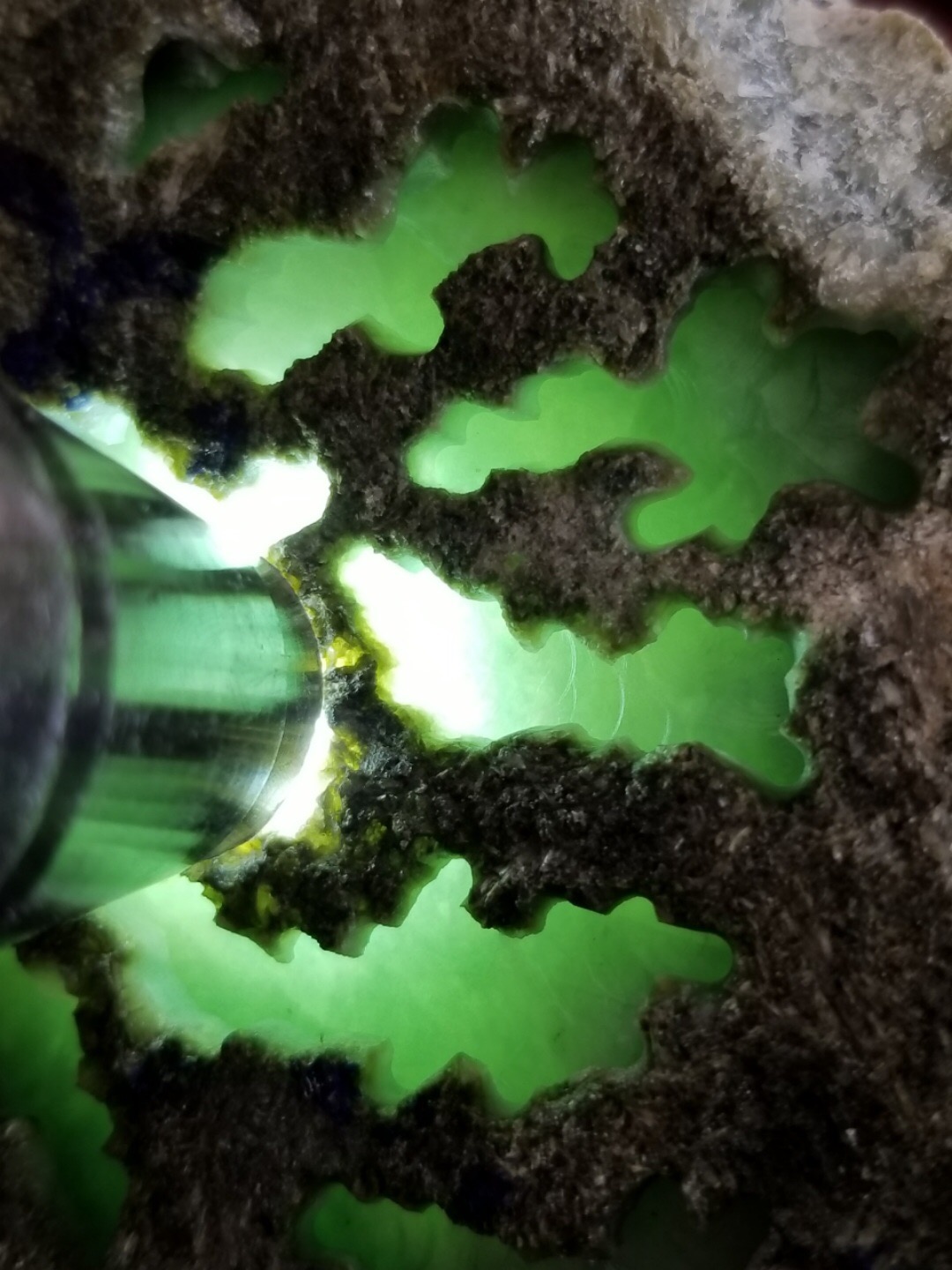 今日福利价2888得新货3.3公斤老料子来了实力南齐敞口好货