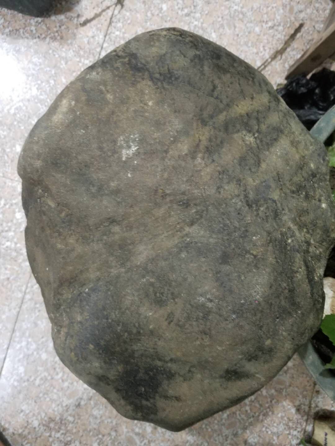 钜惠价1.5万秒杀得猛料22.5公斤老莫西沙巨无霸全赌冰色料