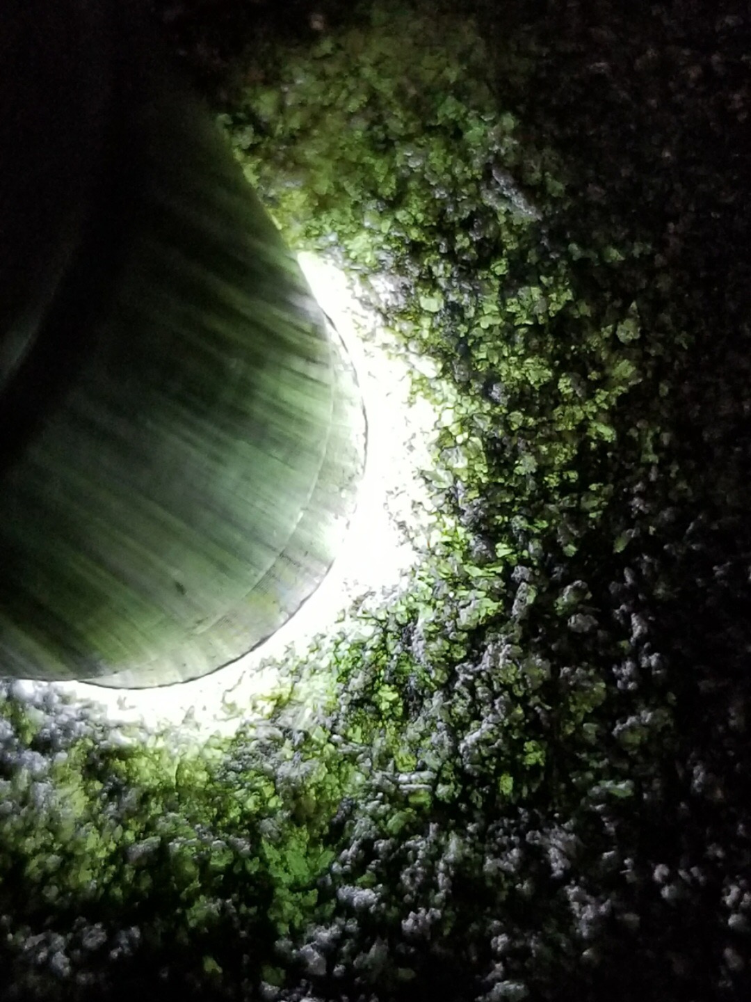 秒杀价3688得新货5公斤老坑莫西沙料莫西沙就是没得说这荧光