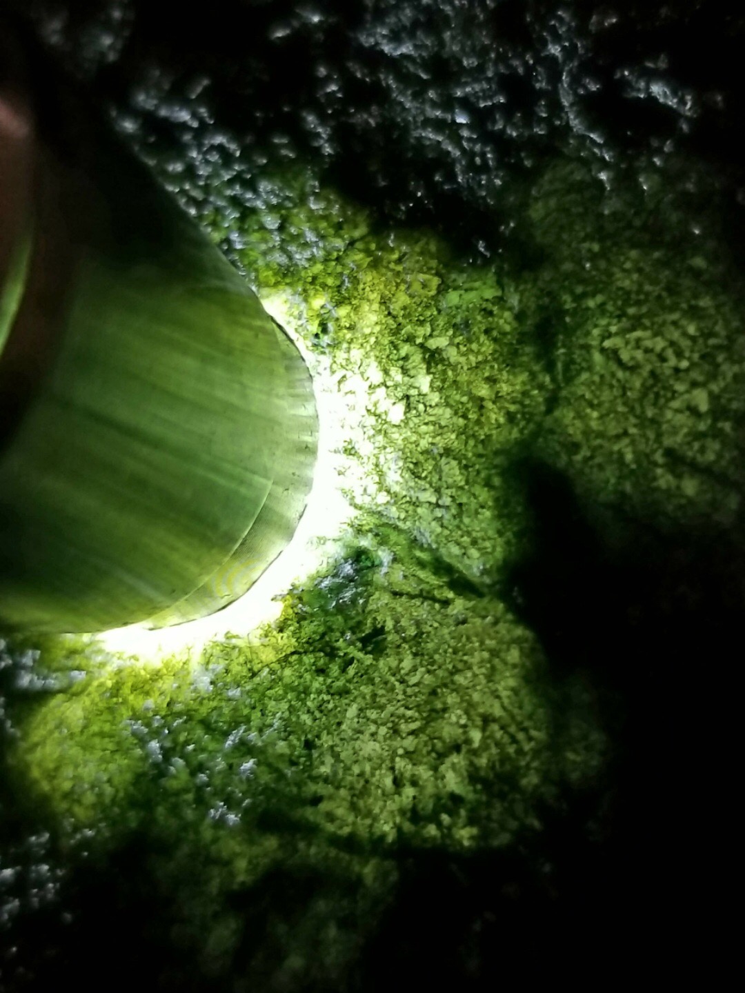 秒杀价2888得新货2.3公斤老坑莫西沙全赌手镯料实力货美中