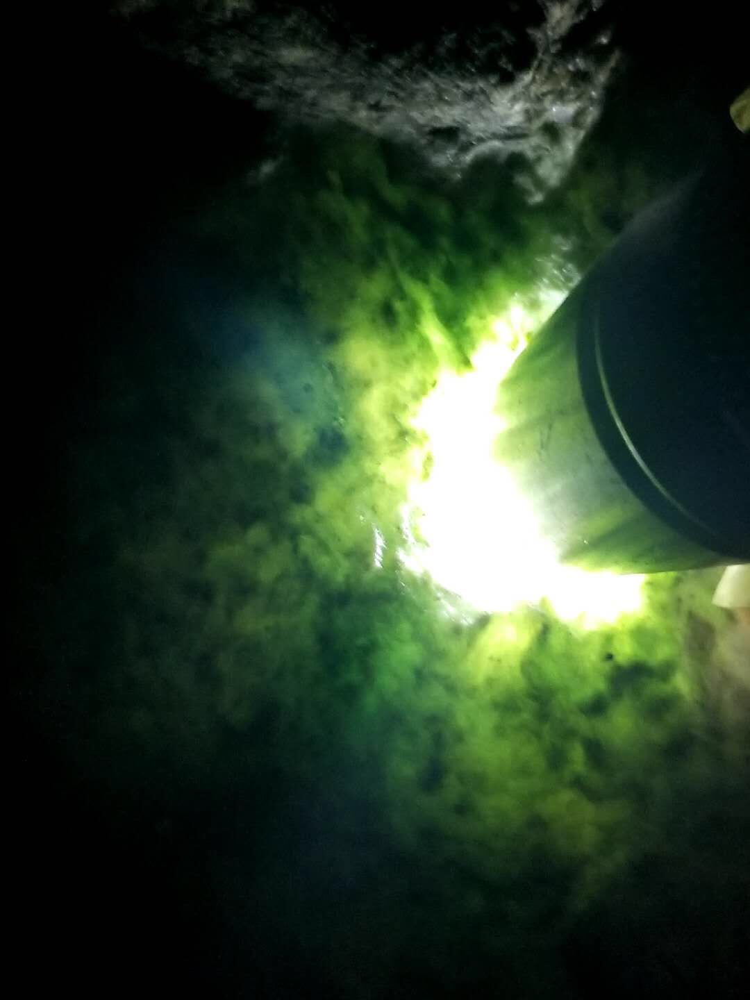 放漏价3588秒杀得猛料1.8公斤老坑莫西沙老象皮冰飘花全赌