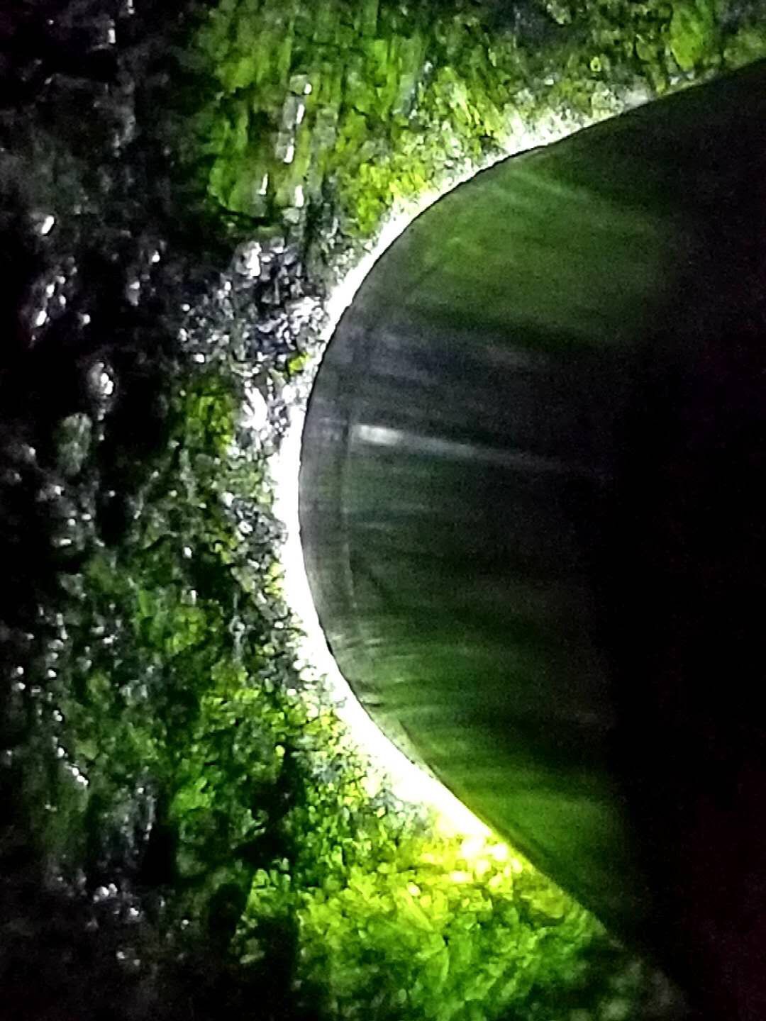 放漏价3388秒杀得猛料3.35公斤老坑莫西沙老象皮全赌冰晴