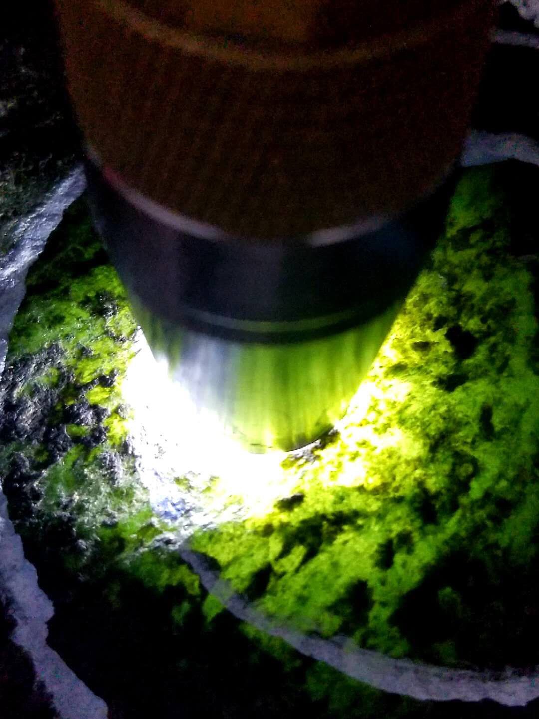 今日福利价3988秒杀得猛料5.85公斤老坑莫西沙亿万年老断