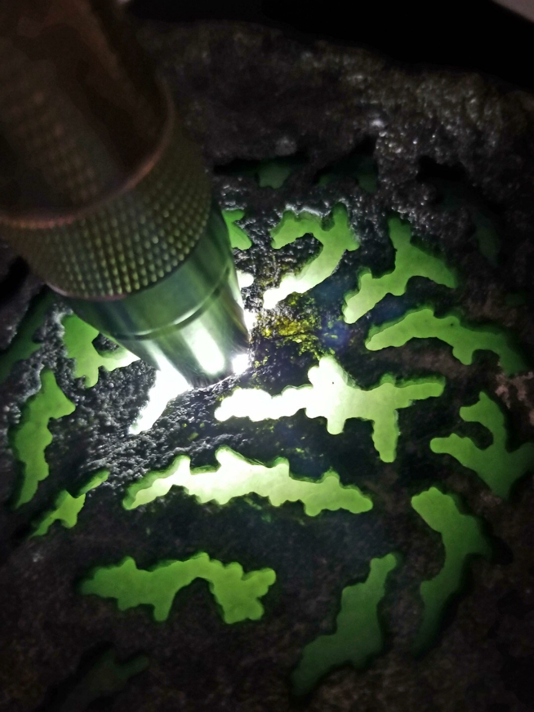 秒杀价6988得猛货精品新料4.7公斤老坑莫西沙开口直接整个