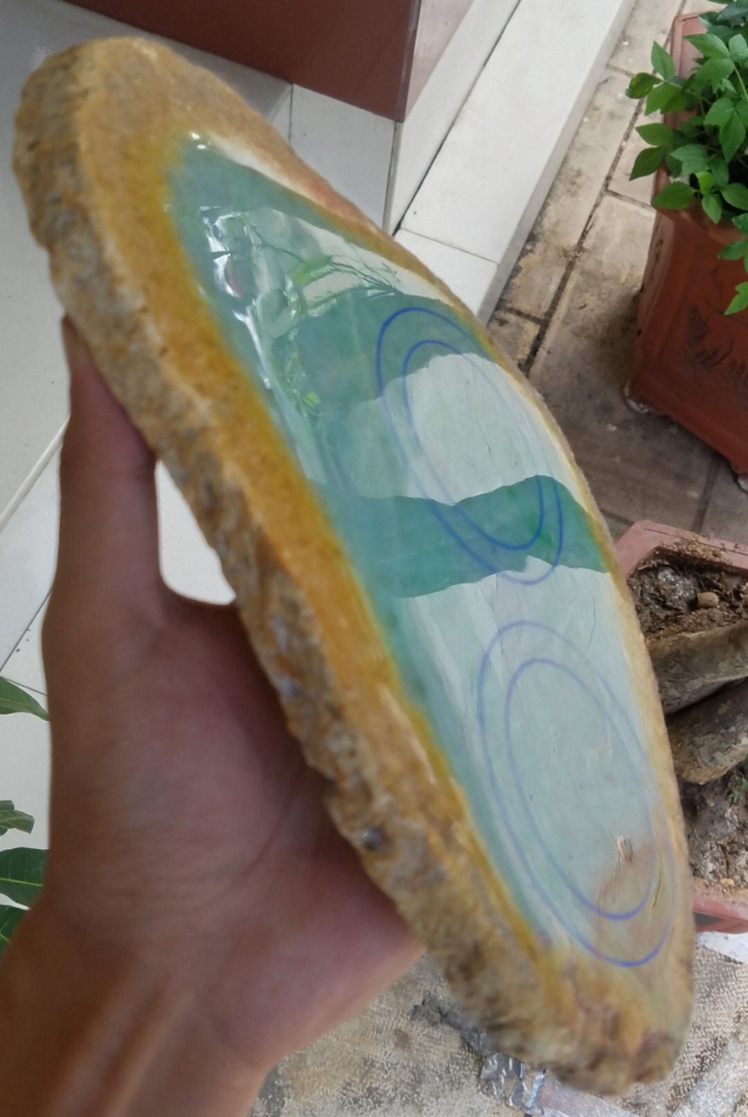上新达玛坎精品改口手镯片料1.34公斤满豆色底飘绿花带黄雾色