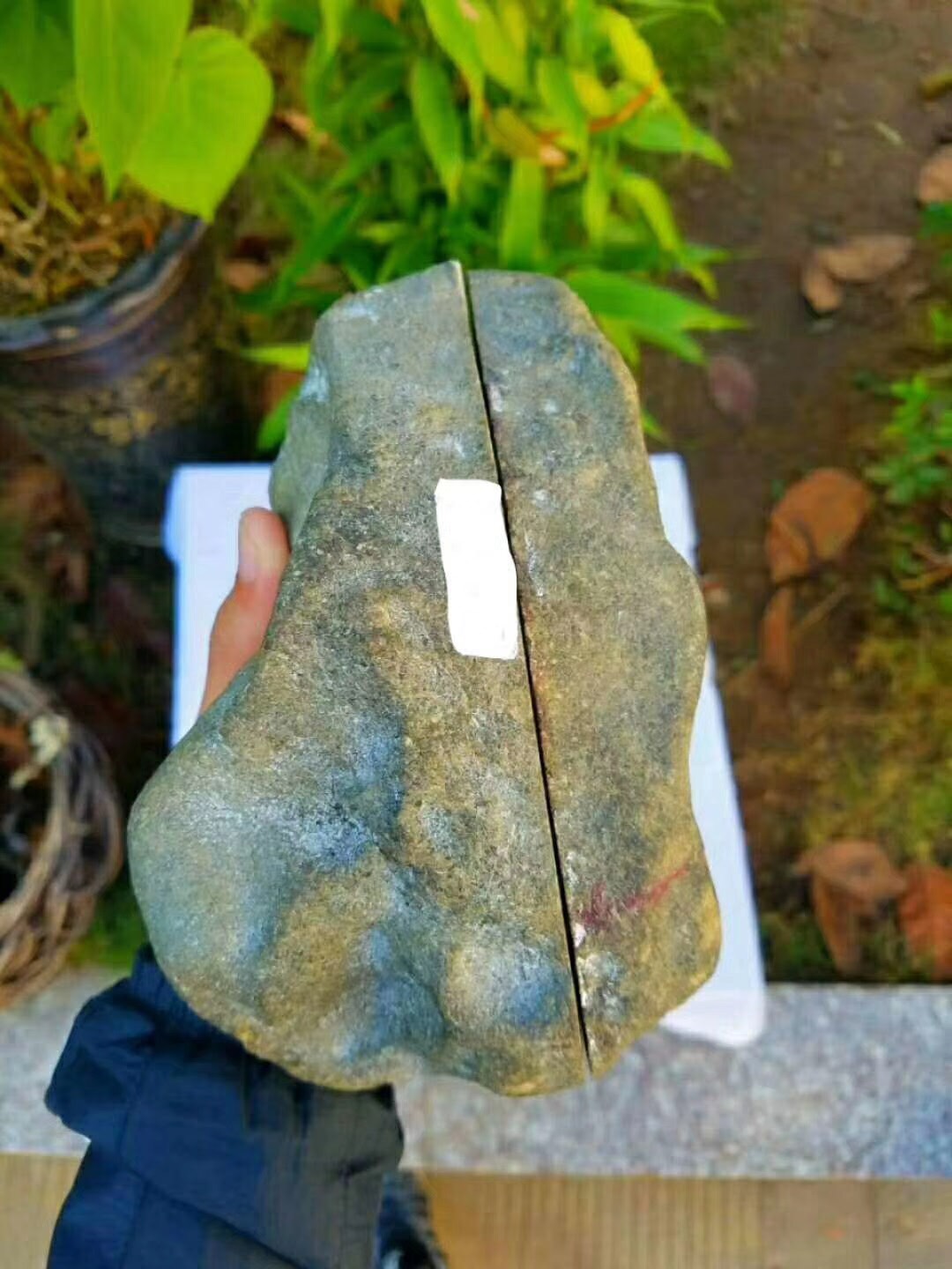 老坑莫西沙场口改口手镯半明料4.45公斤冰底带有底色种老起胶