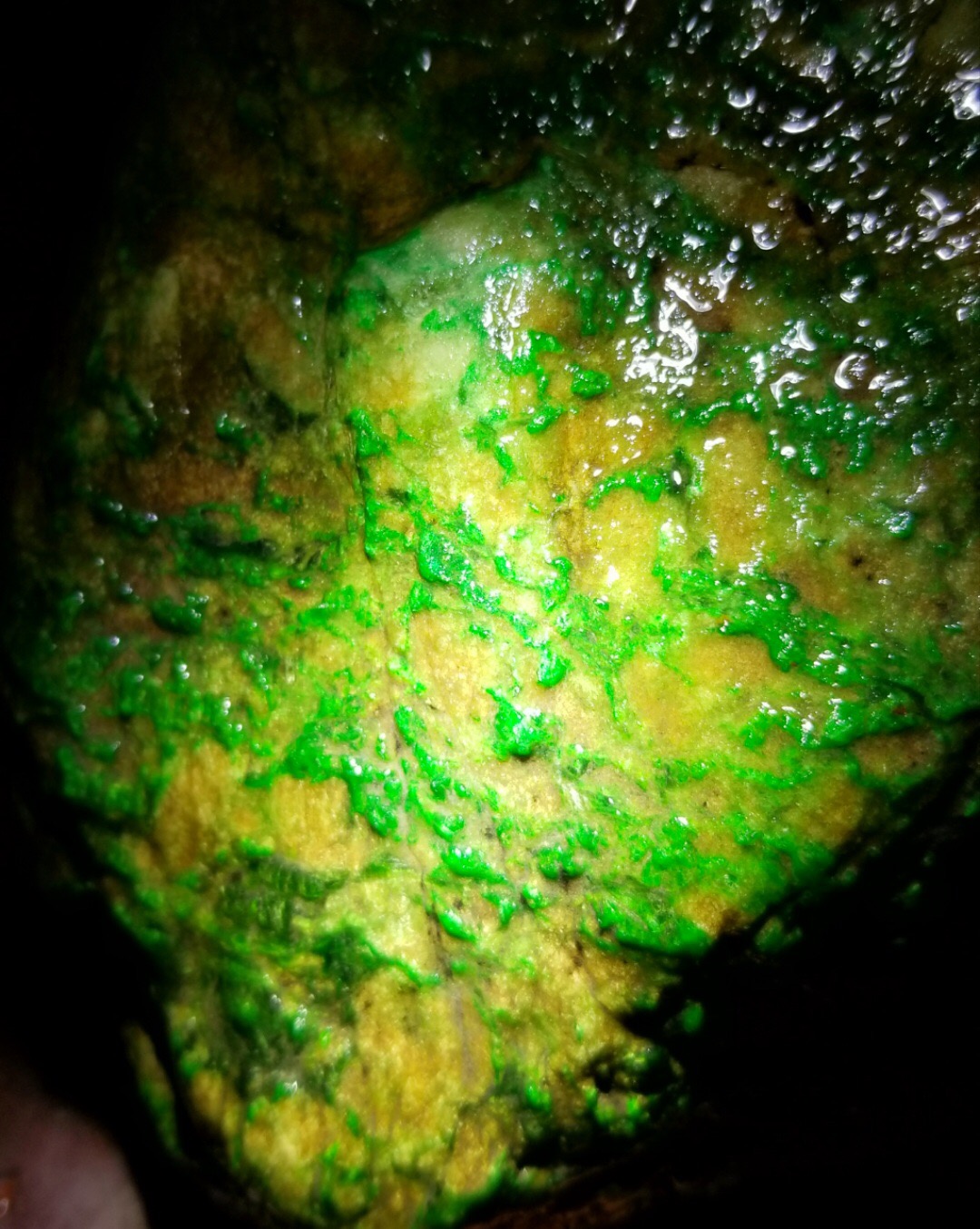 新货BH351老坑莫西沙2.92公斤全身布满松花颗颗饱满色