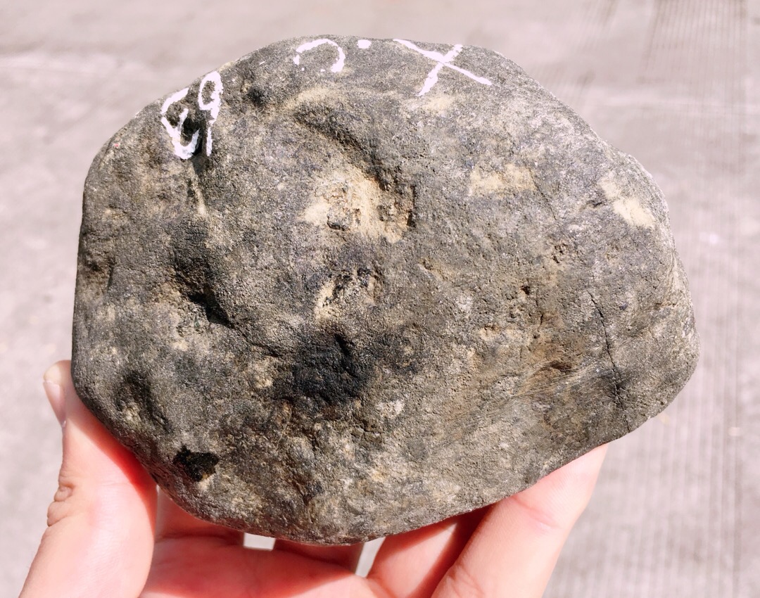 1.6公斤莫湾基开窗满色手镯料皮壳完整紧致品相十分完美开窗满
