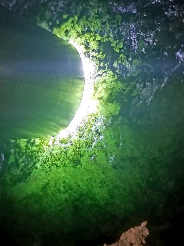 十一放漏特价2688秒杀得猛料5.2公斤老坑莫西沙冰晴全赌手