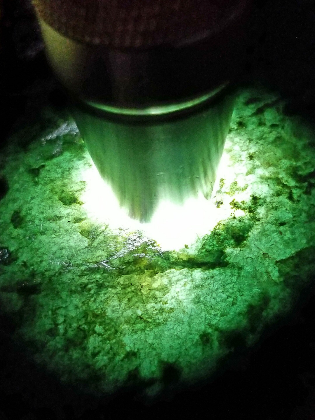 今日福利1999元秒杀得新货1.5公斤老坑莫西沙全赌料有老端