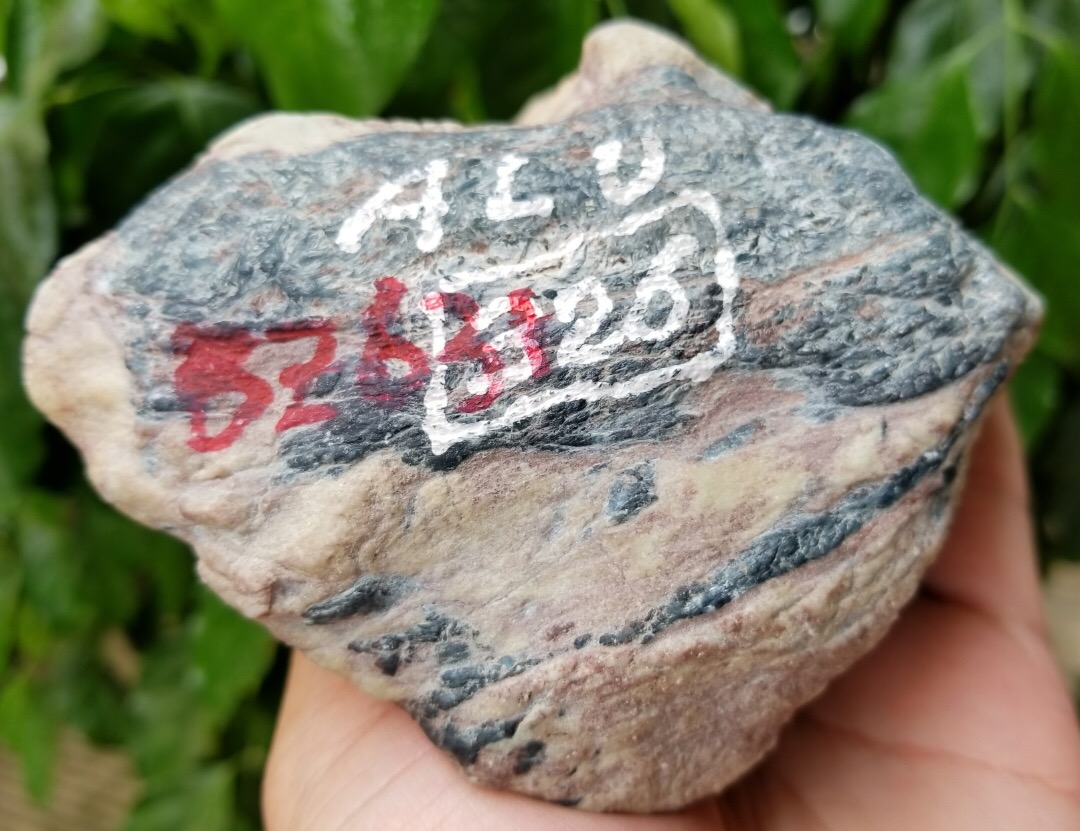 BZ631老坑木那姐堆1.18公斤皮革老整个通透已开大窗高冰