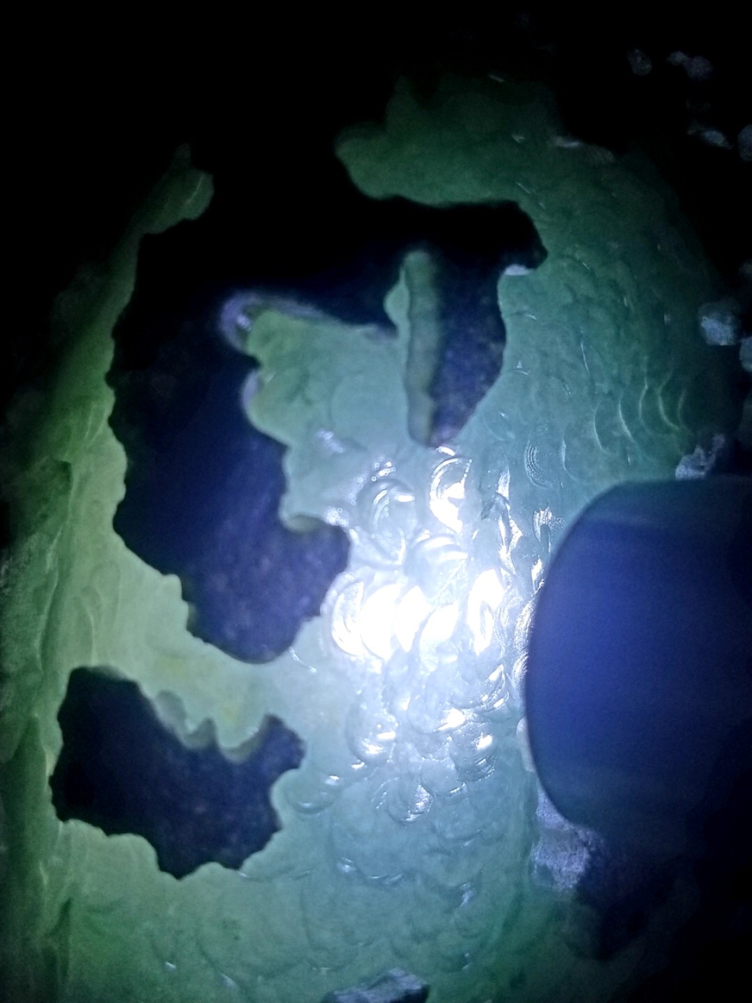 今日大漏6999秒杀得猛料0.95公斤老坑莫西沙开口冰飘花冰