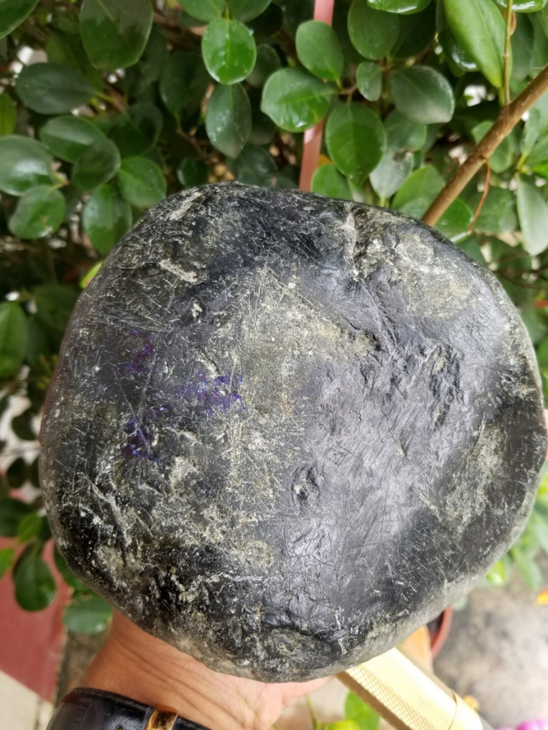 秒杀价4988得新货2.85公斤南齐冰种南齐给力货你懂的这种