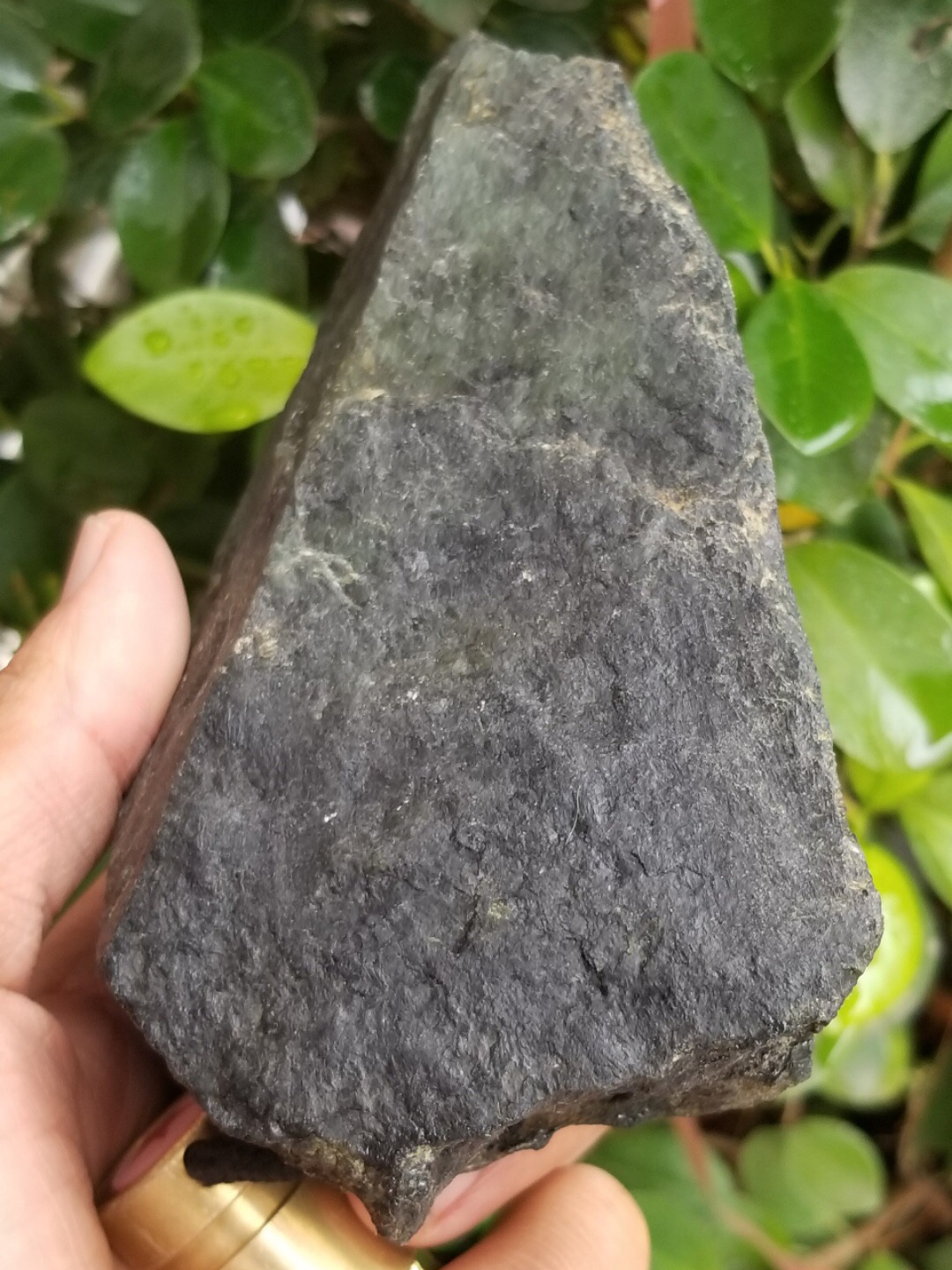 今日福利1888元秒杀得新货1.5公斤老坑莫西沙全赌料有老端