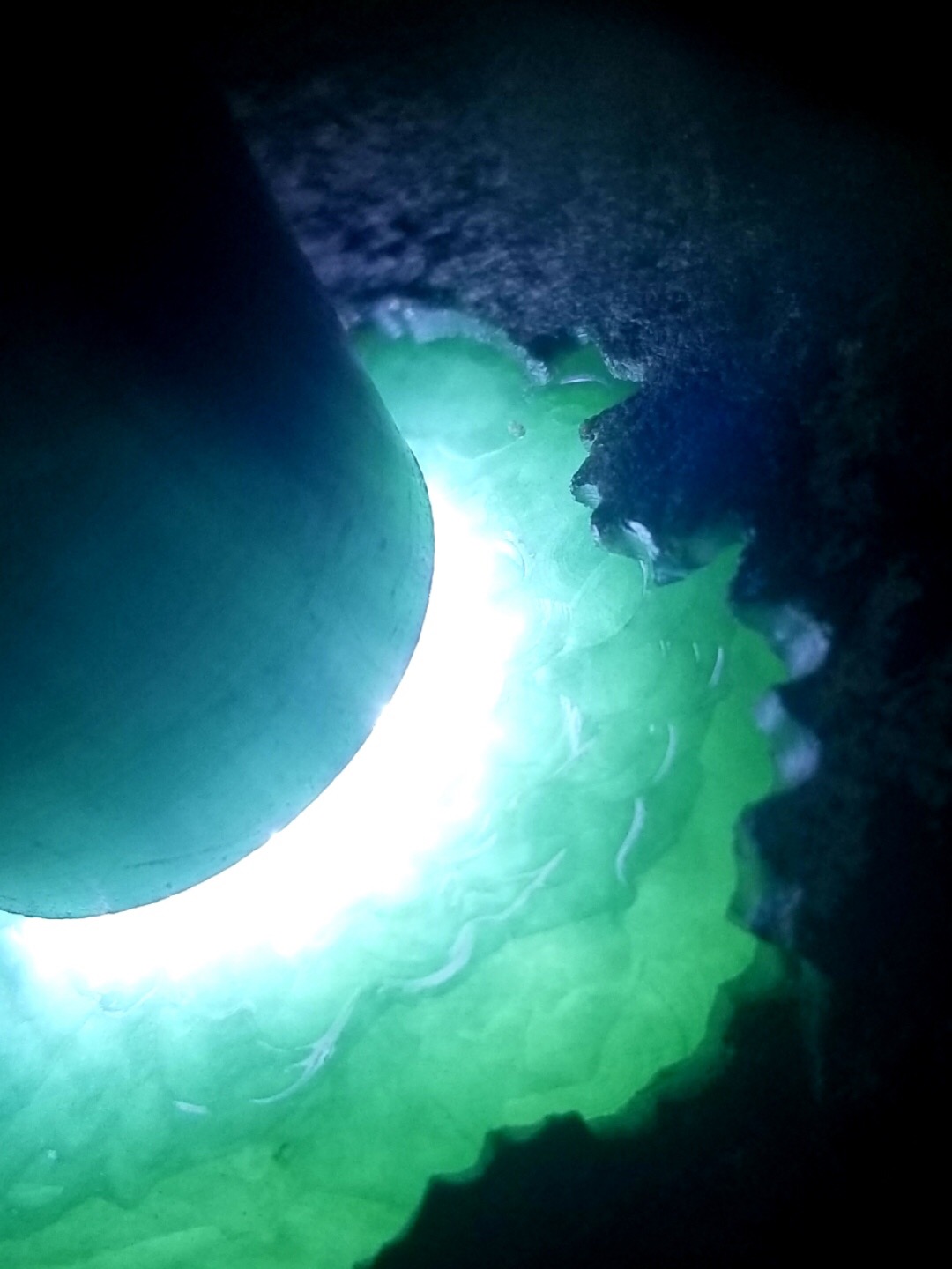 特价2688秒杀得猛料1.15公斤老坑莫西沙开口冰晴料冰味十