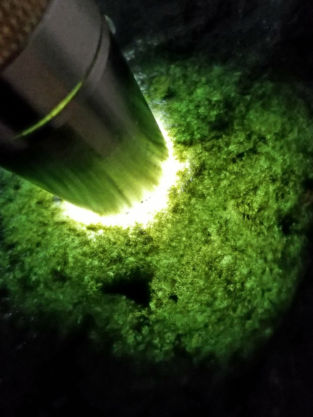 秒杀价4588得新货3.15公斤实力莫西沙冰种一坨绝对冰了肉