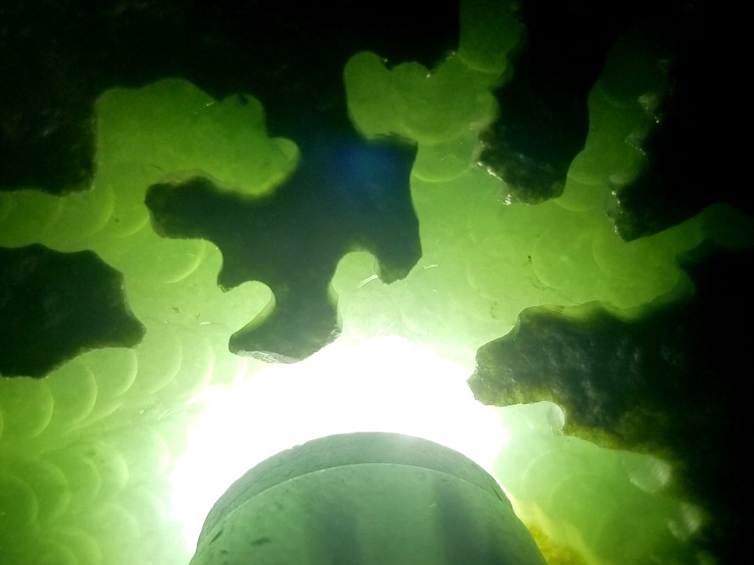 福利价3288秒杀得猛料2.05公斤老坑莫西沙水泥皮开口手镯