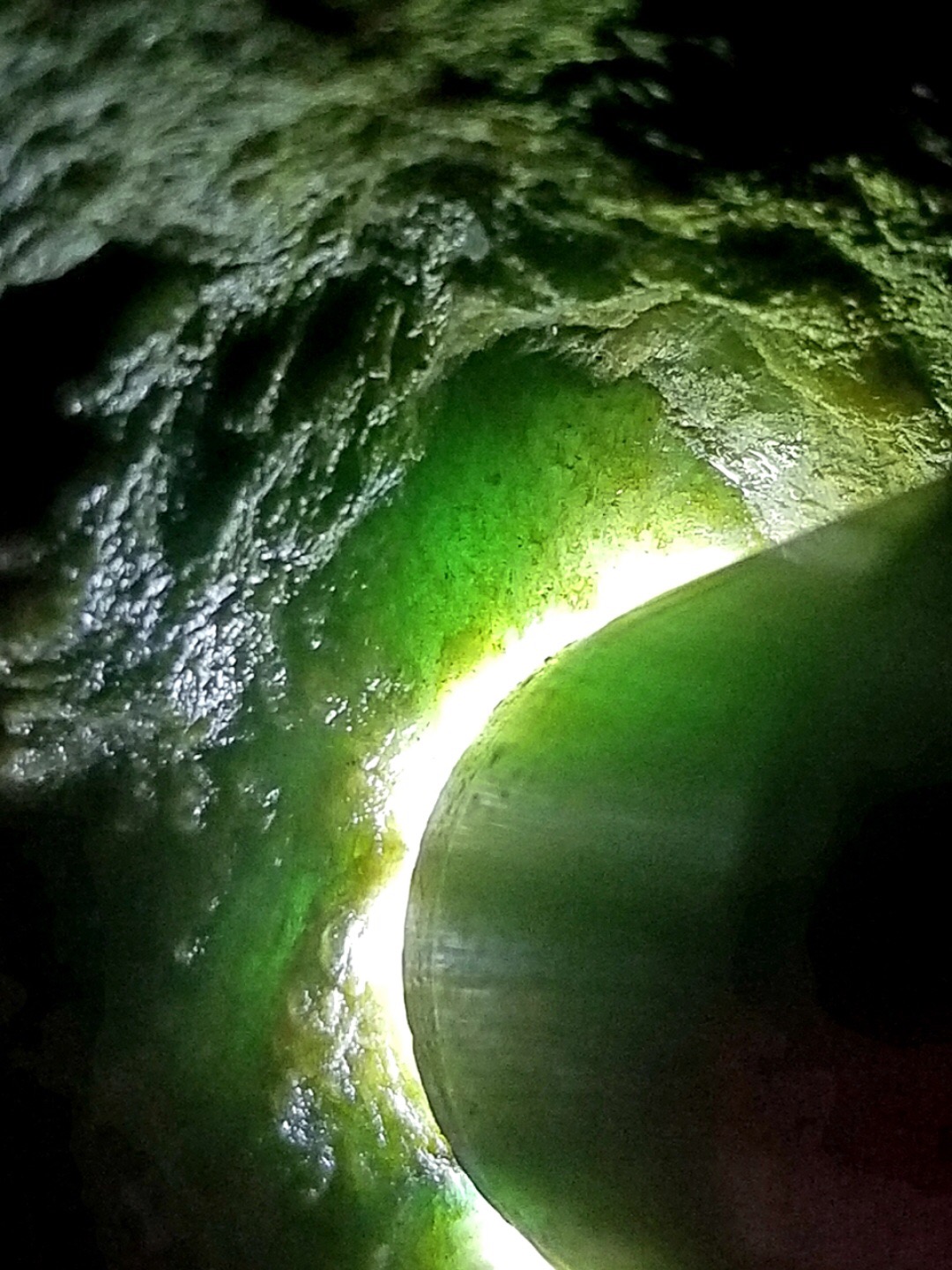 特价1999秒杀得猛料6.75公斤老坑莫西沙老象皮全赌料这个