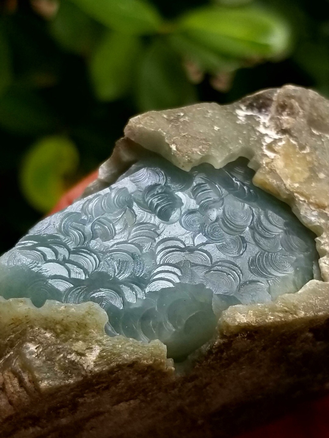 秒杀价2288得在秒一次新货0.25公斤老坑南齐冰晴冰晴化开