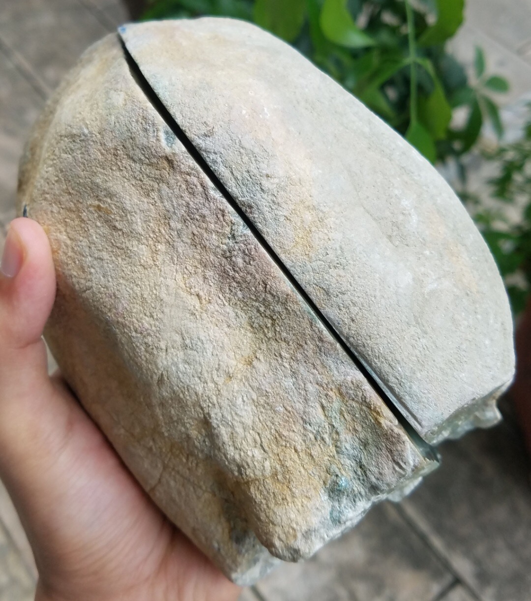 老坑莫西沙精品手镯4.18公斤皮老紧凑清底飘蓝花玉质超级细润