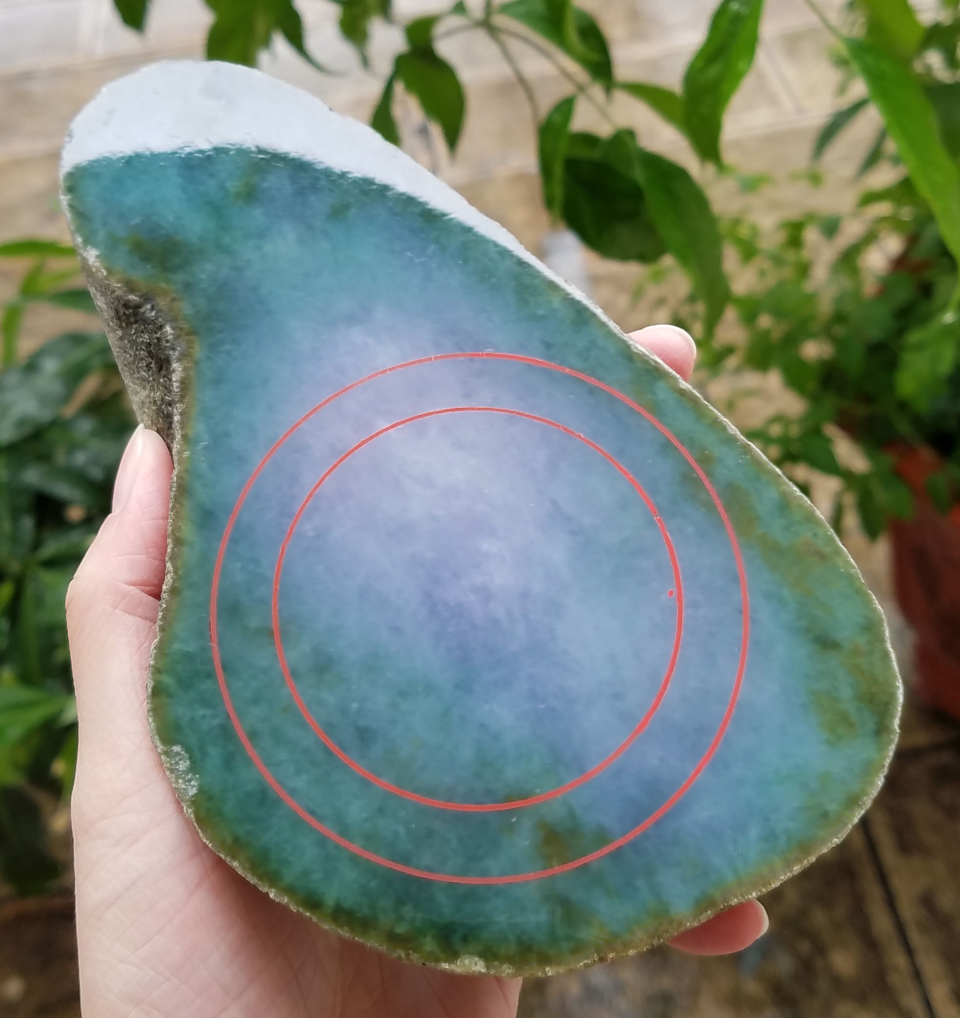 上新秒杀价8800得老坑莫西沙改口手镯料1.66公斤糯冰底春