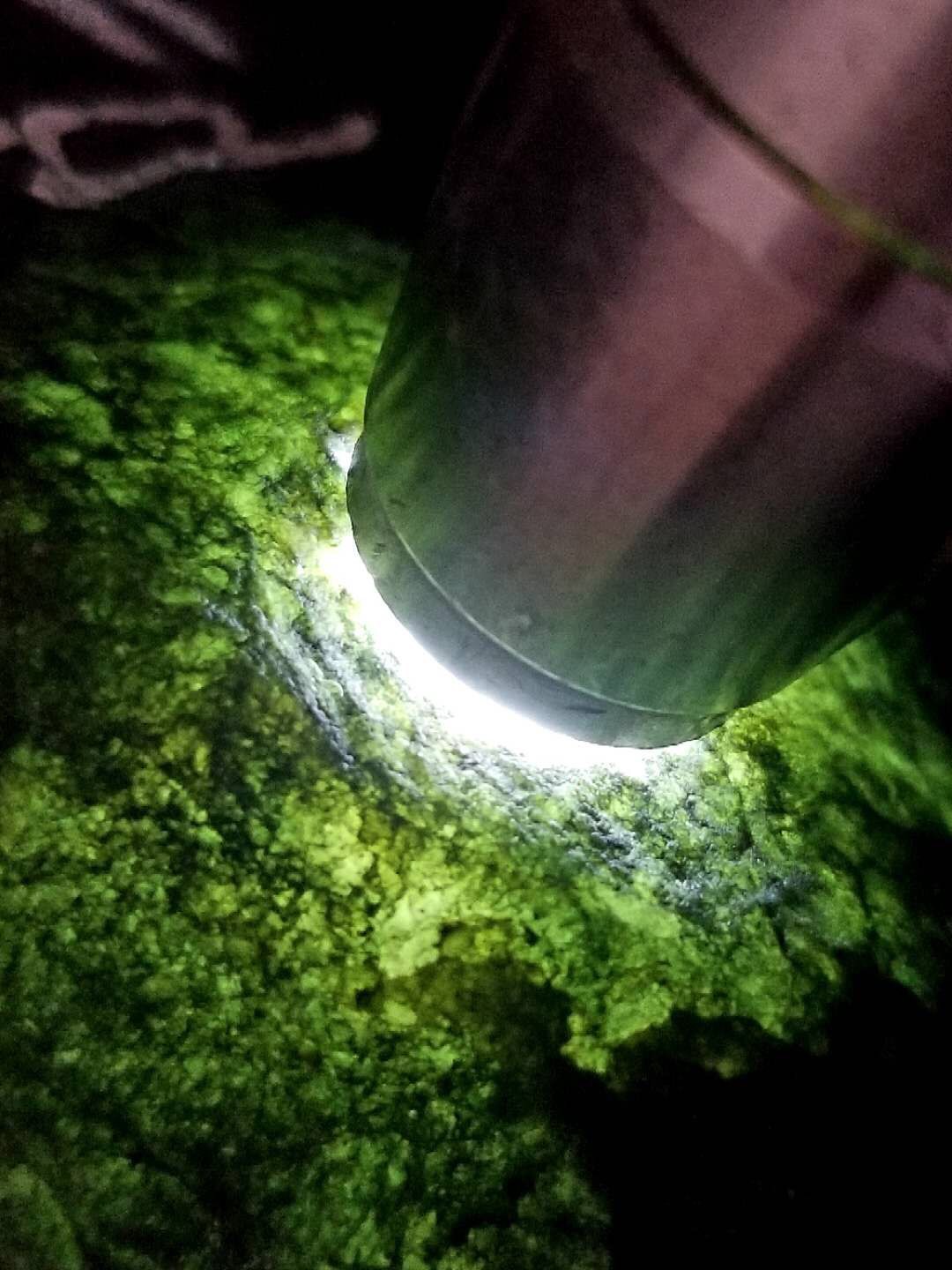 今日特价2688秒杀得猛料 500壳莫西沙小灯泡来一个冰感强