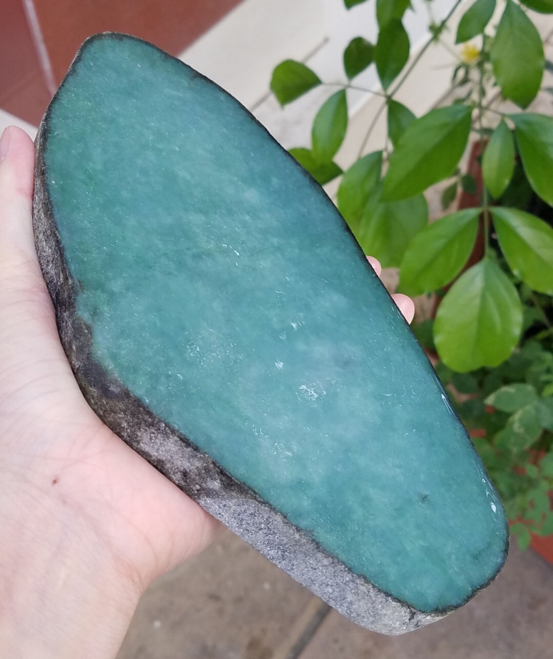 上新捡漏价4999得莫西沙精品改口手镯片料0.94公斤有底