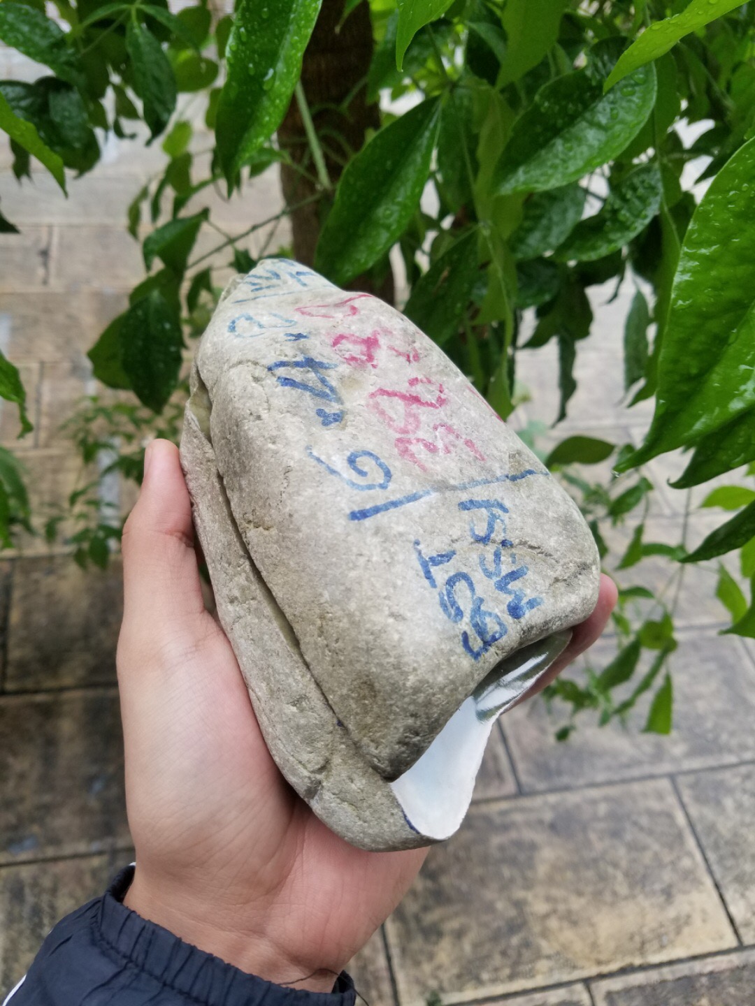 秒杀价7880得莫西沙改口手镯料2.48公斤种老皮壳紧凑满满