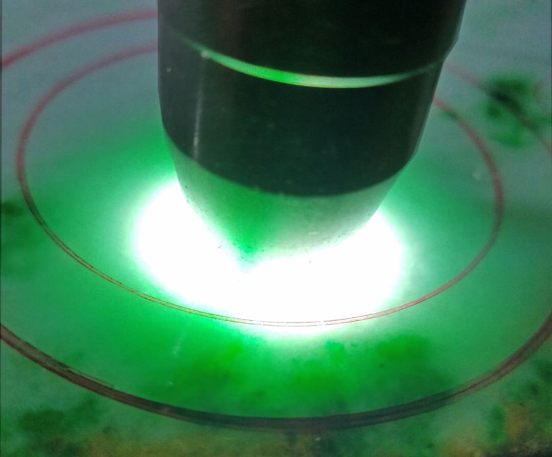 南奇改口手镯明料15.9公斤底子干净清爽自然带底色飘阳绿花满