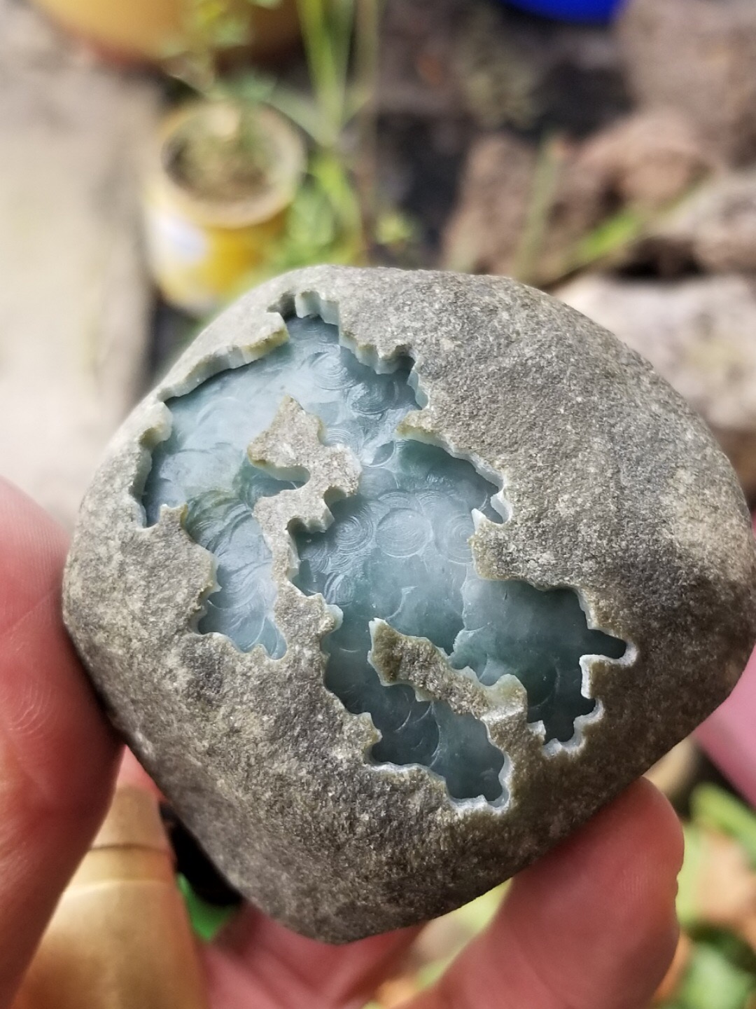 秒杀价998得新货0.3公斤老坑老南齐开口飘兰花精品这可以哈