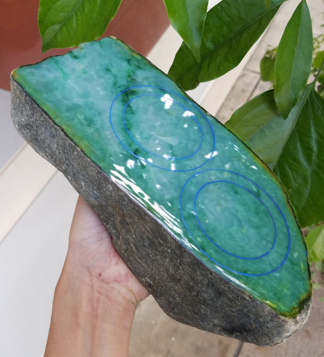 莫西沙改口手镯料5.35公斤浓浓的底色飘绿花满满的飘花飘色动