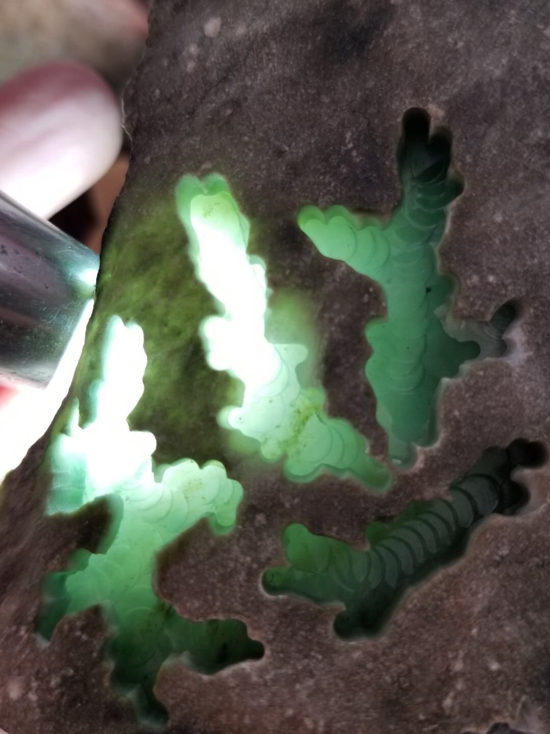 今日福利价6600得新货1.85公斤南齐实力货南齐就是南齐品