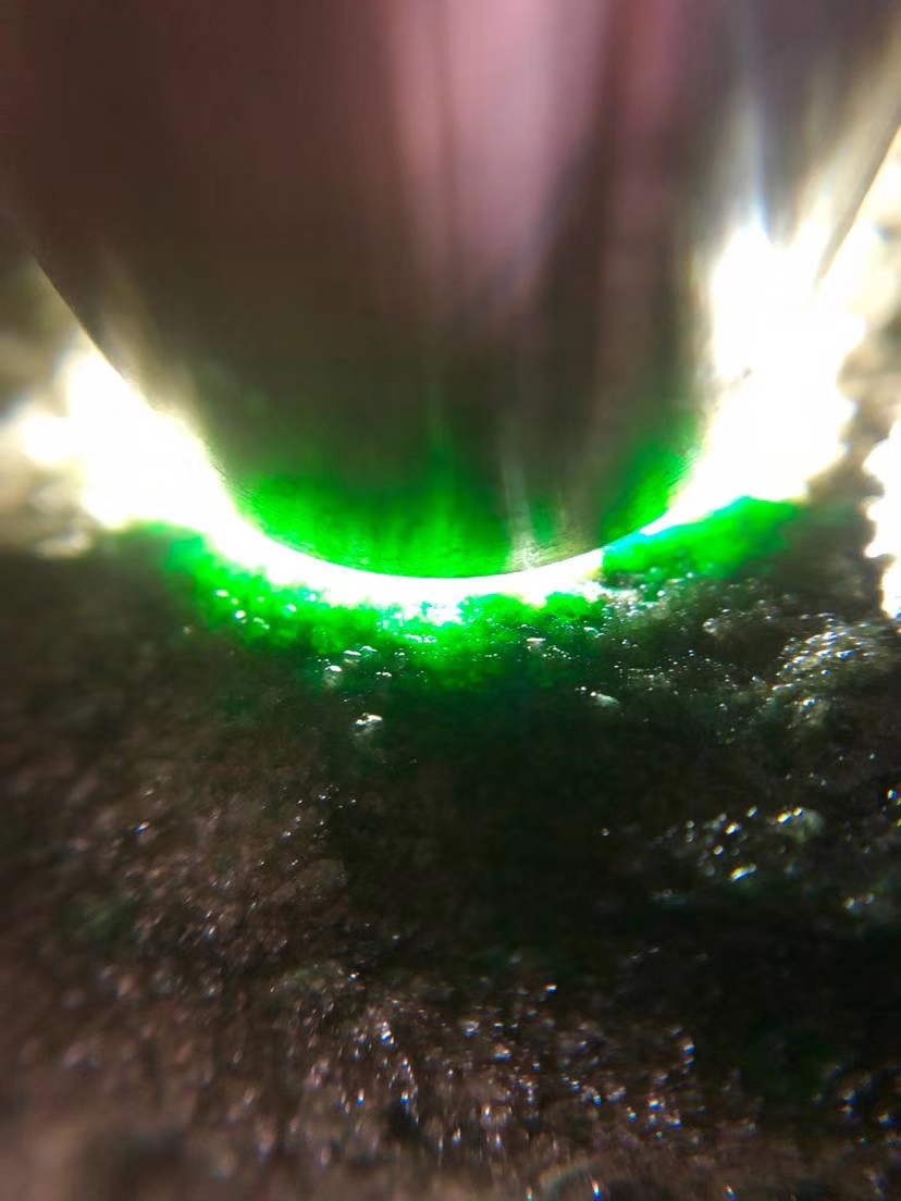 ZF839莫西沙全赌色料全身色带缠绕到处都是色打灯种老色极阳