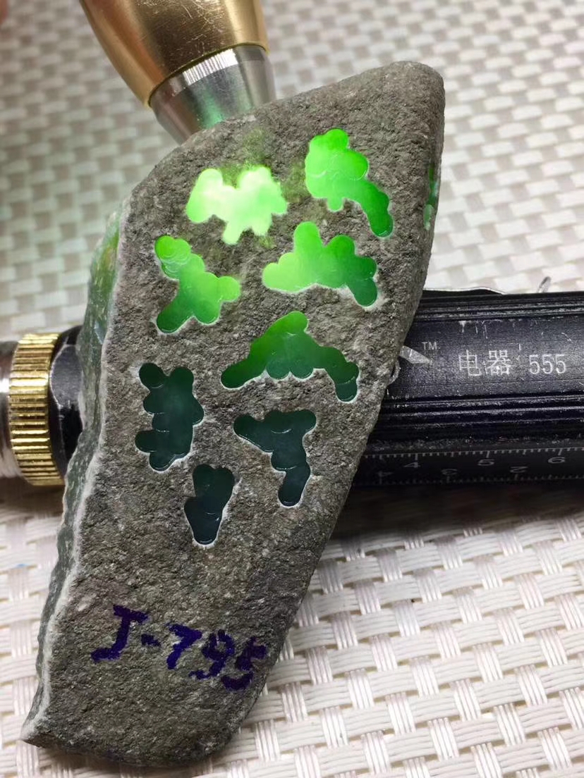 J-795莫西沙花已经化开了真的找不到词语来形容它的美没有一