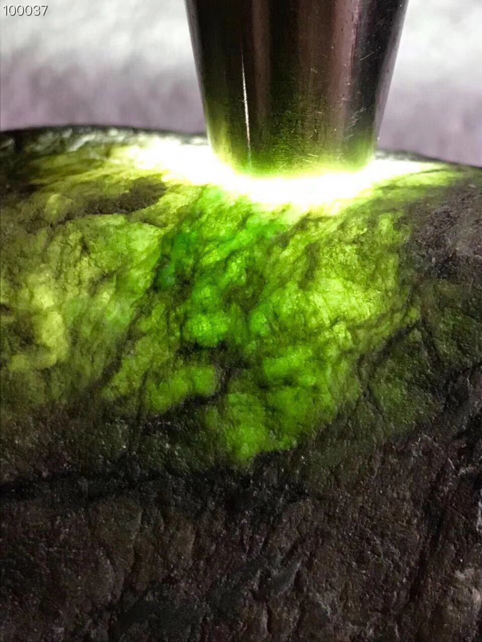 ZF791南齐冰飘花全身莽皮皮壳老的起皱远看是裂纹其实是皱纹