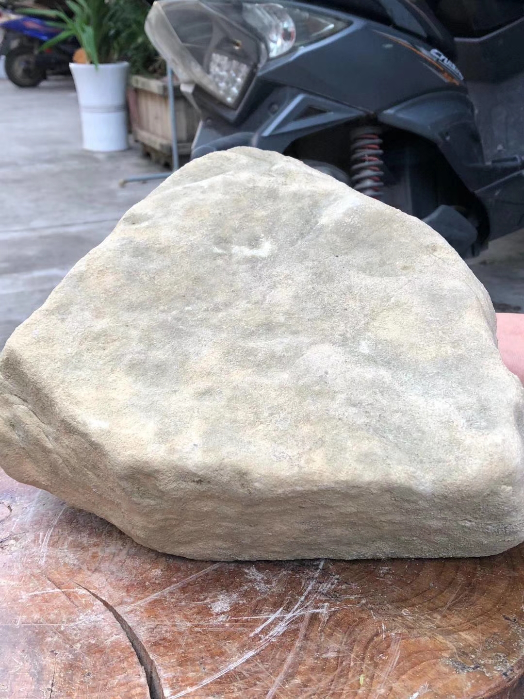 ZF807莫西沙全赌手镯料品相方正皮壳完整块头厚实打灯水头长