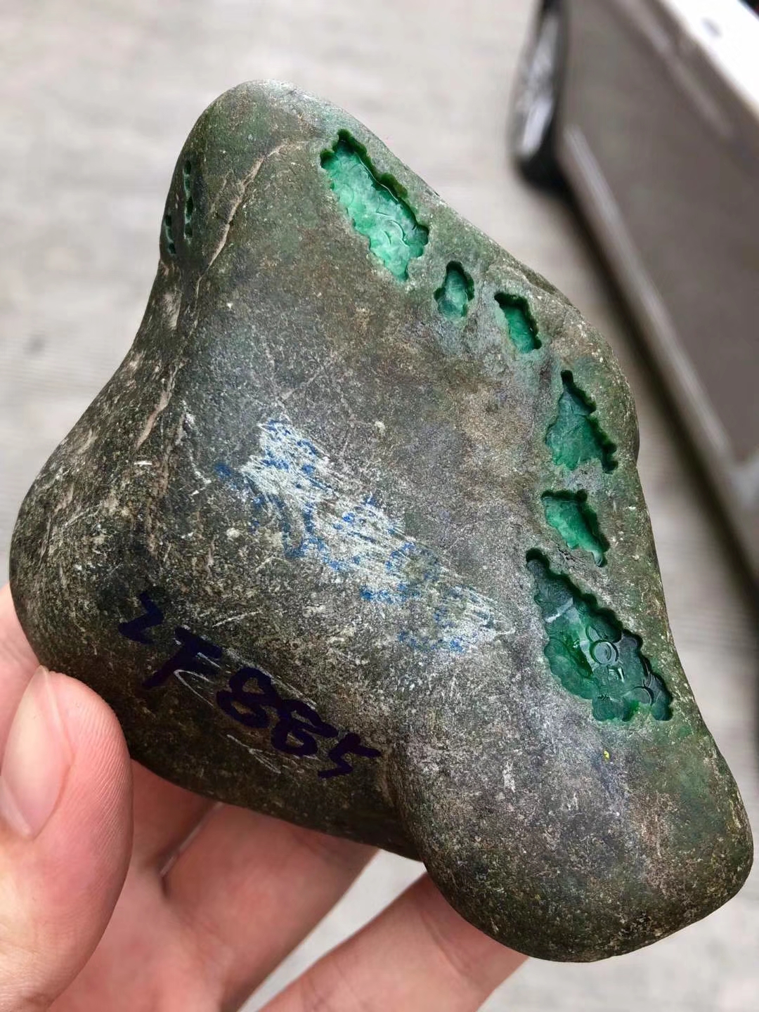 ZF885后江开窗满色牌子料打灯色艳相当辣眼睛一个牌子就回本