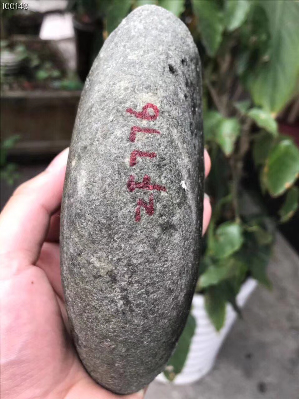 ZF776南齐开窗晴色手镯料俩边大面积开窗打那透那绿到不行手