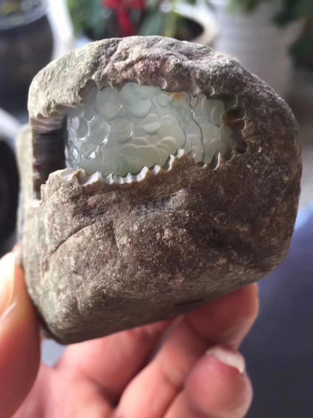 ZF636莫西沙开窗玻璃种自然光下通透荧光耀眼钢性十足大鸽子