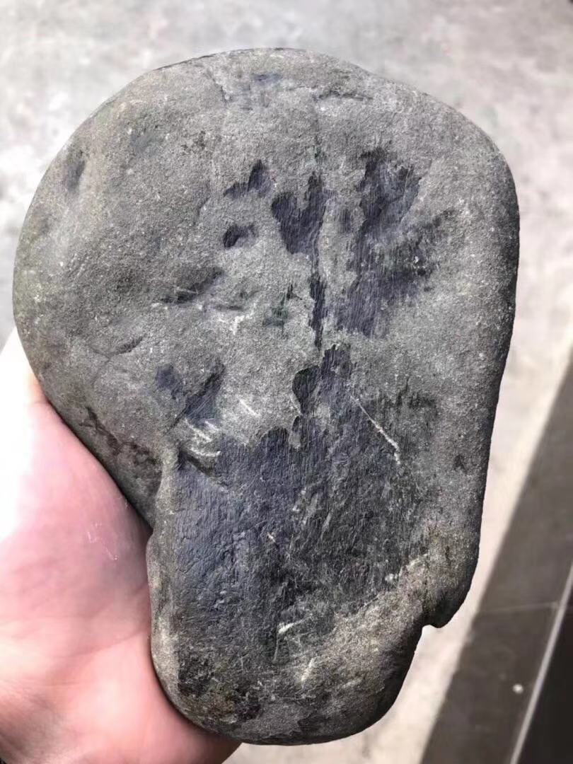 J-1001莫弯基老坑开窗种水料大面积开窗一整个完美无裂已有