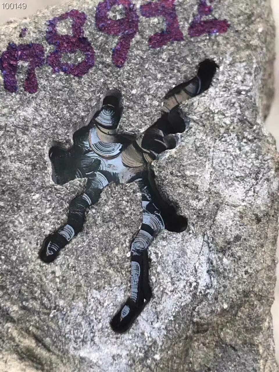 ZF684莫西沙开窗冰晴多处开窗打打通透自然光下发黑一件货是