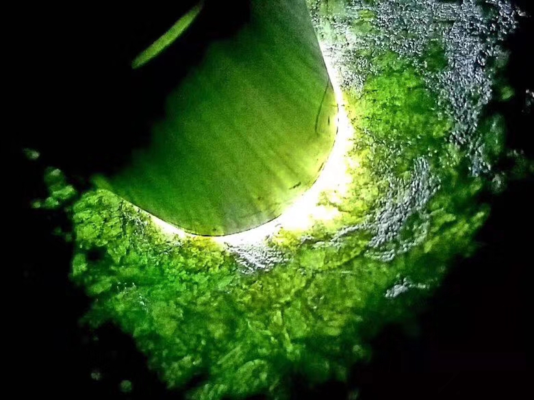 周末特价2588秒杀得猛料2公斤老坑莫西沙全赌手镯料这个料子