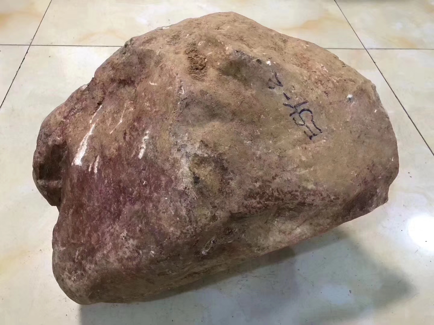 12-7-4编号OW33244.85kg百三桥全赌手镯料皮壳