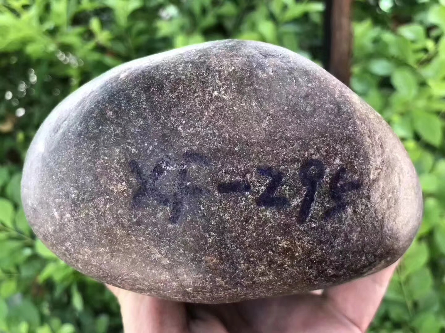12-7-12编号XF2951.7kg大马坎擦口料皮壳紧致、