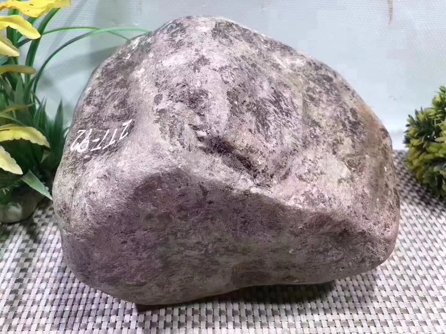12-7-16编号GH29kg百三桥全赌飘色手镯料品相完整皮
